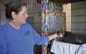 Women caressing a cat.