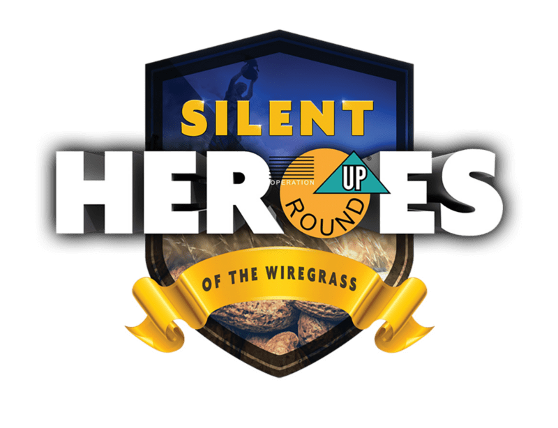 Silent heroes logo