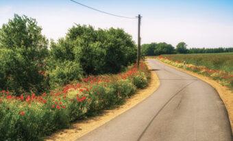 A paved road with a sign on it, indicating direction or providing information.